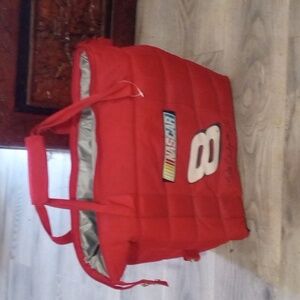 Dale Jr nascar tote bag collectible